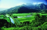 1-Day Kauai "Garden Isle" Tour